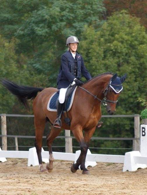 Equitation matériel équestre